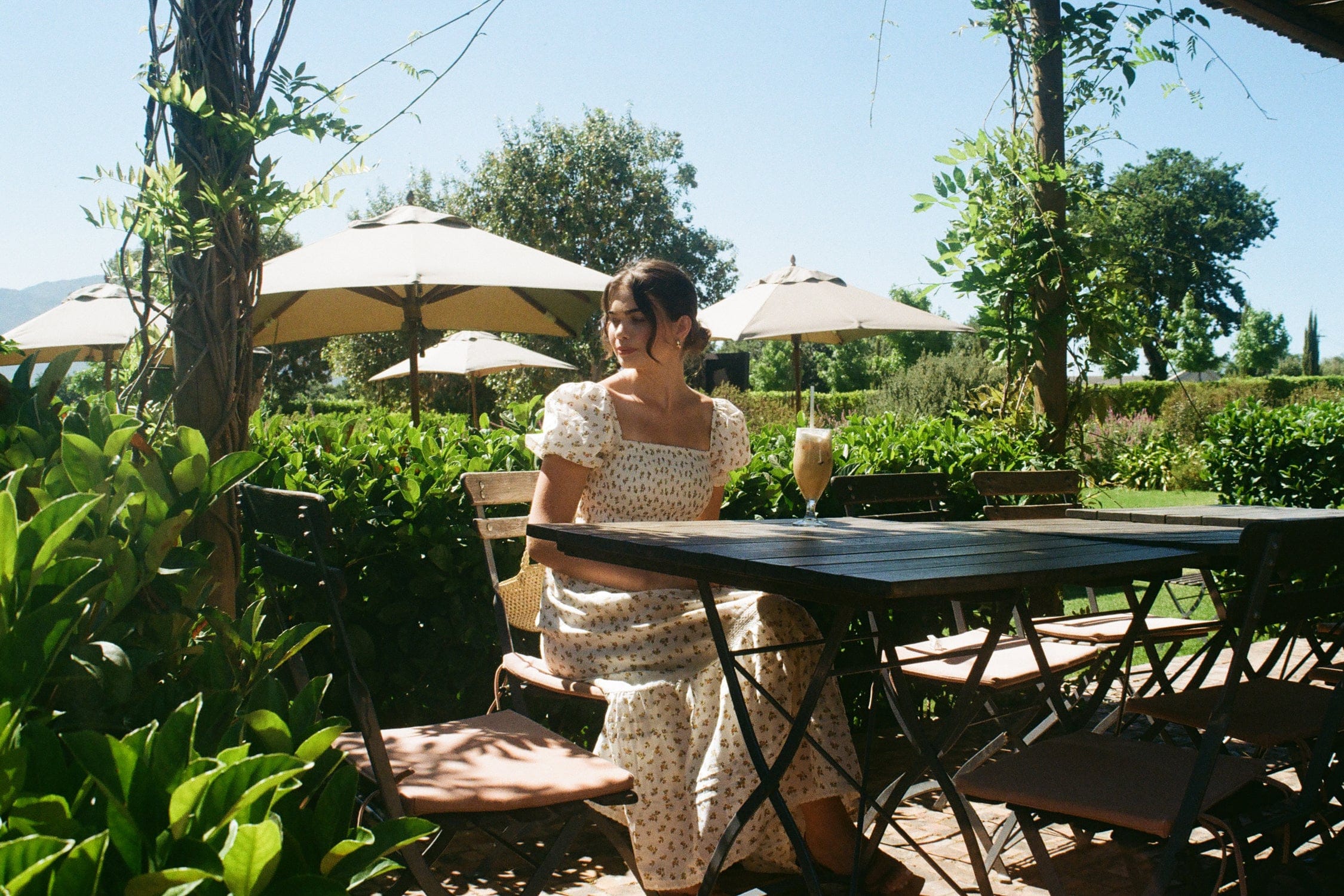 Photo Diary - - December '25