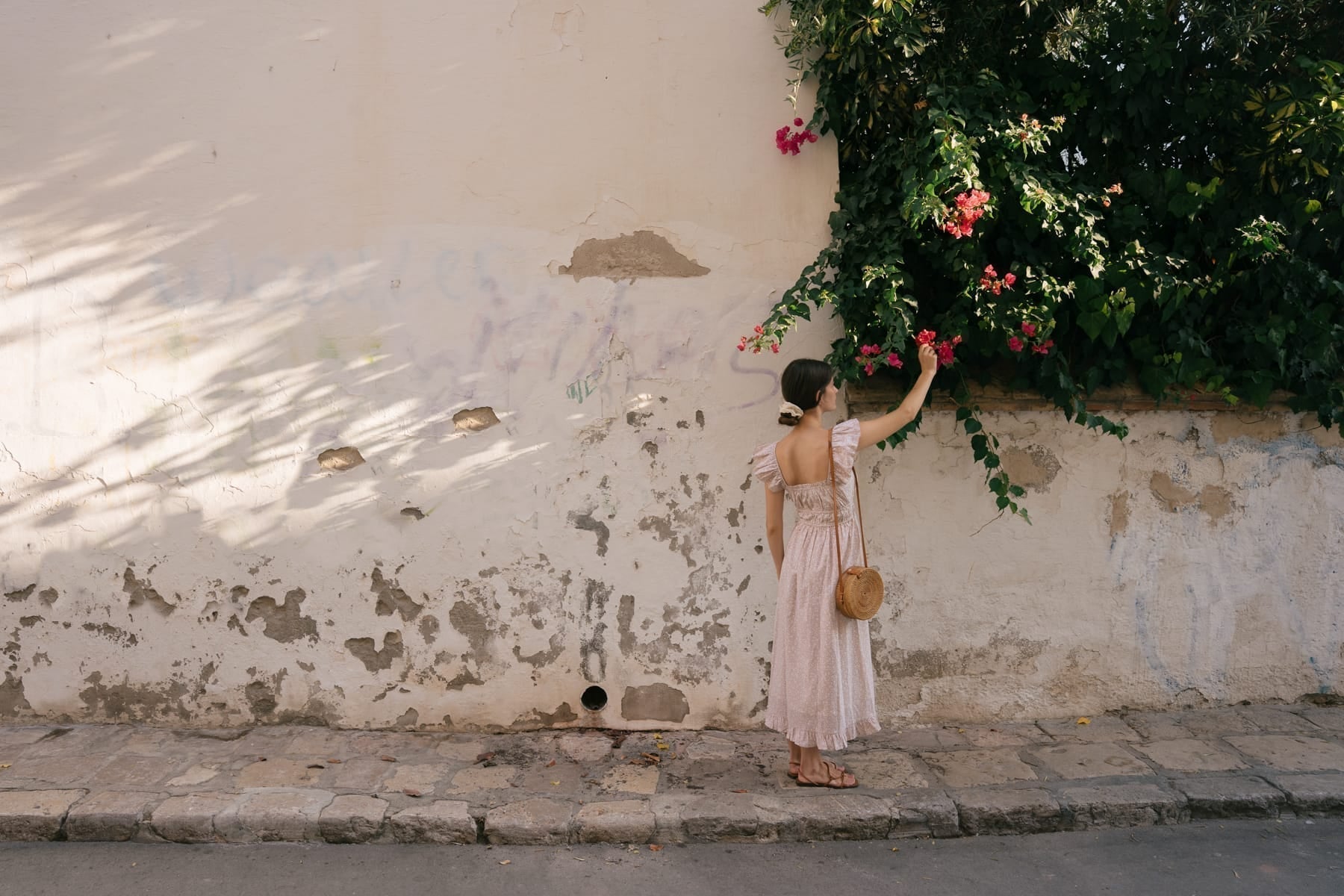 Moments In Bloom - - July '26