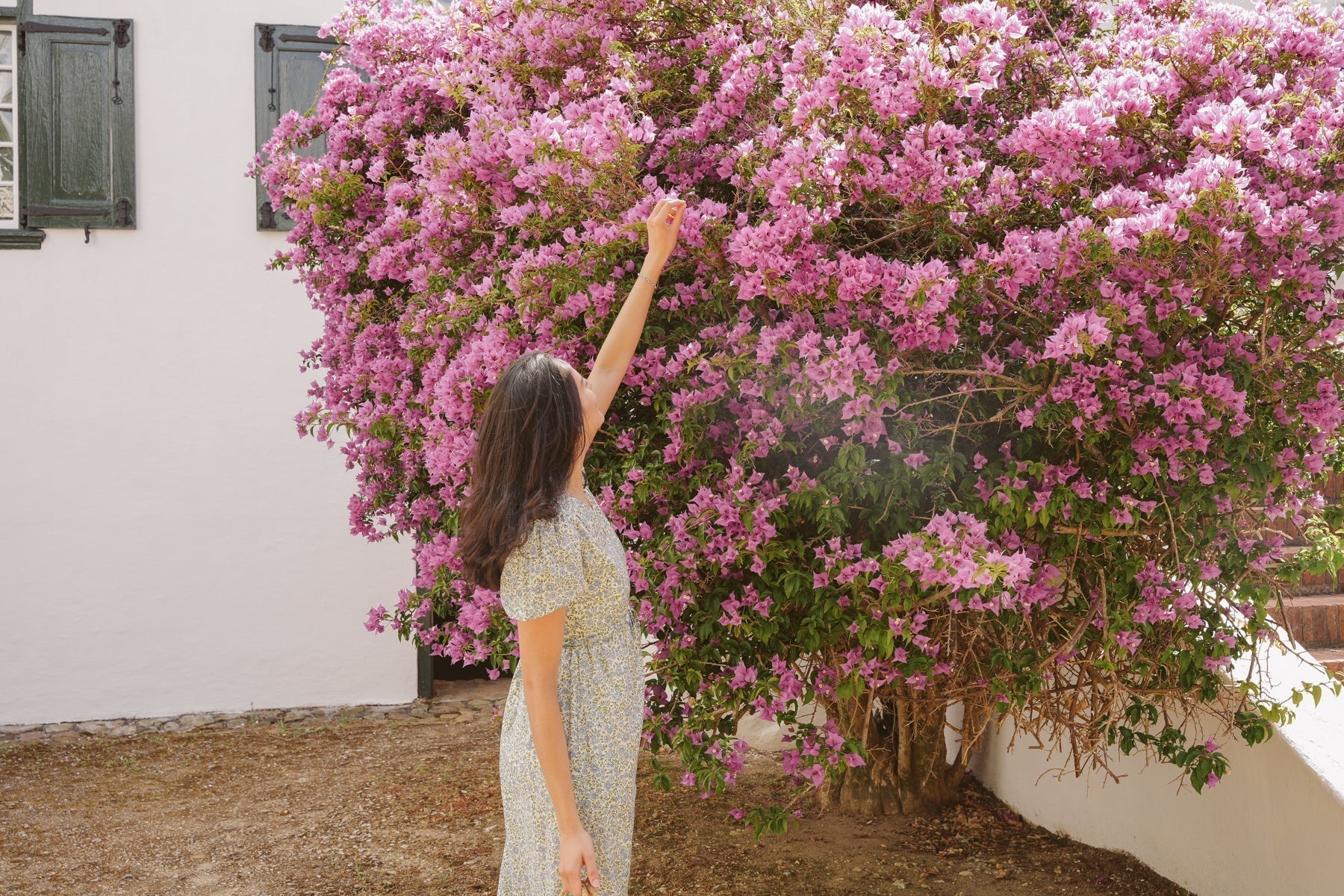 Moments In Bloom — January '24