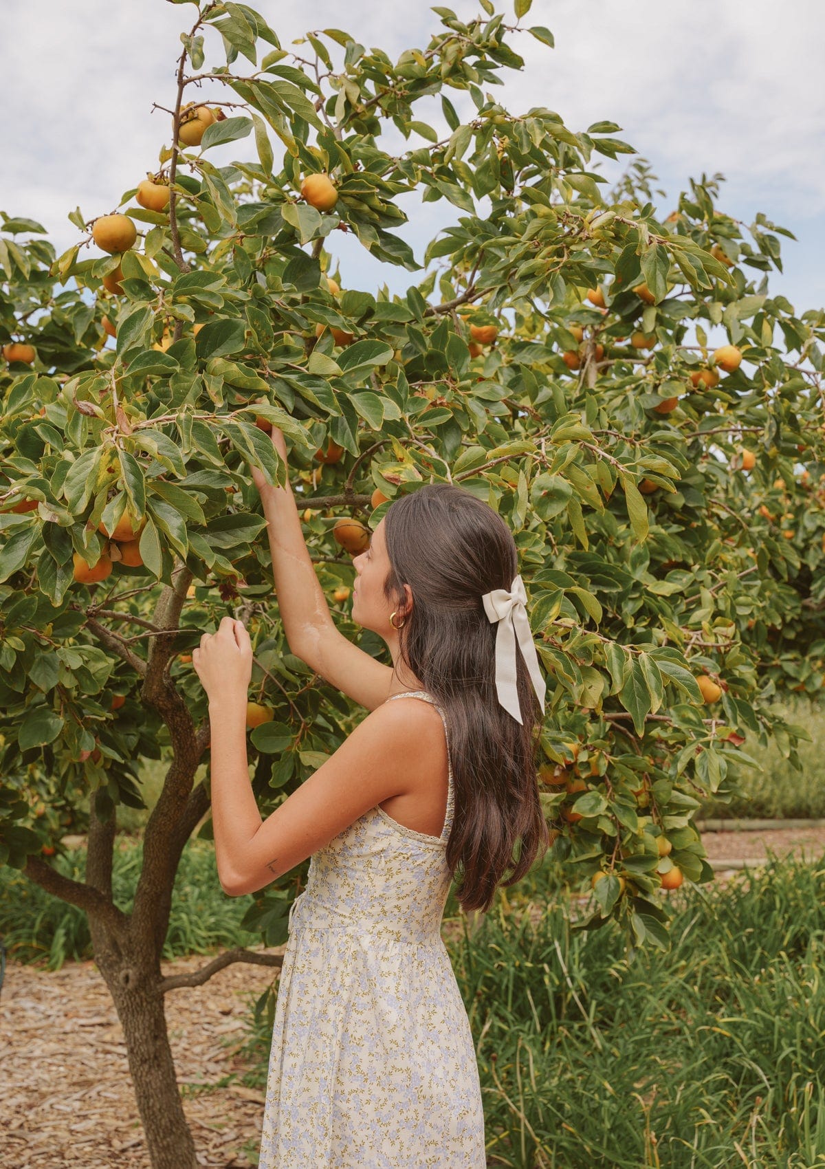 Camille Day Dress | Primrose