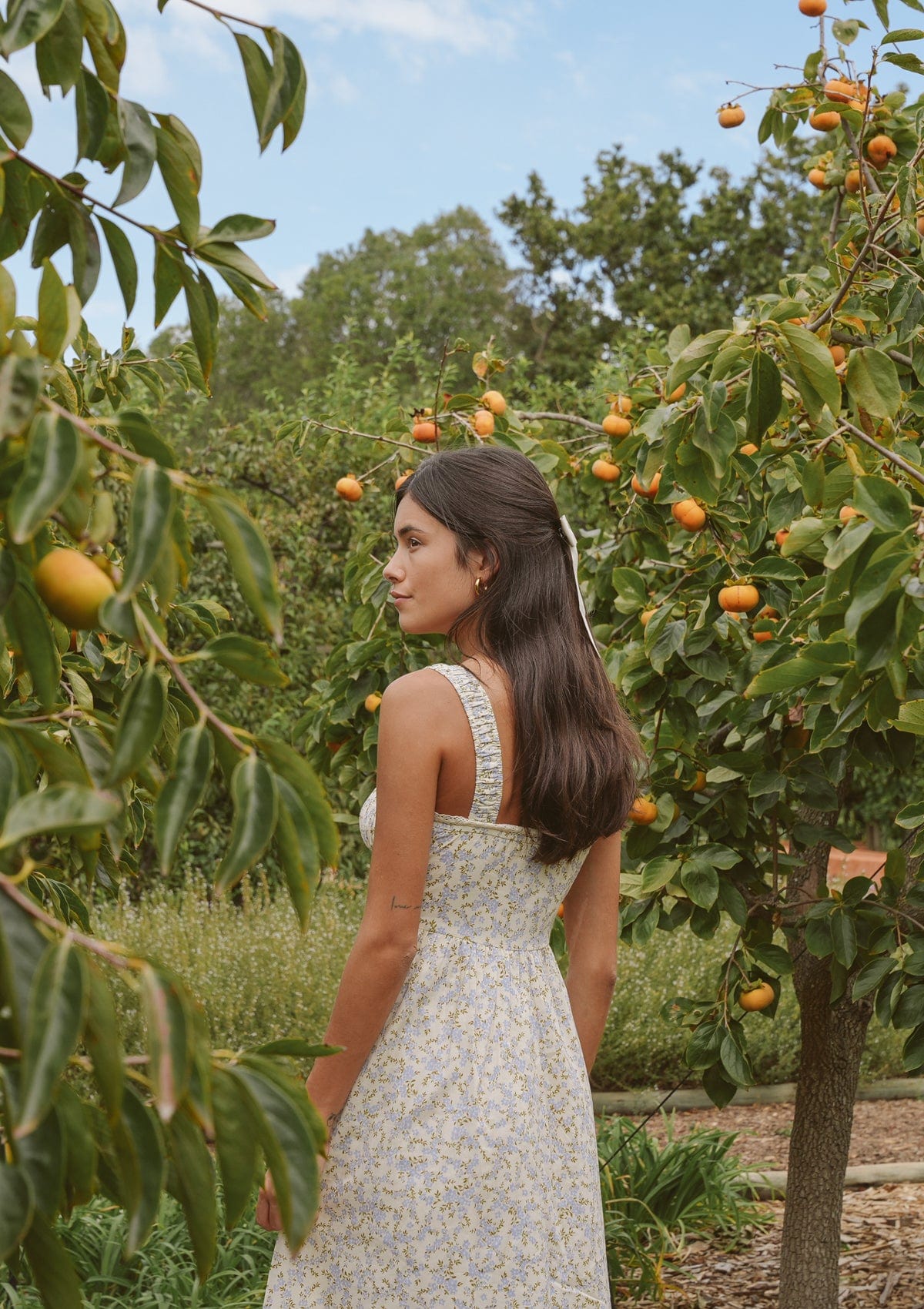Camille Day Dress | Primrose