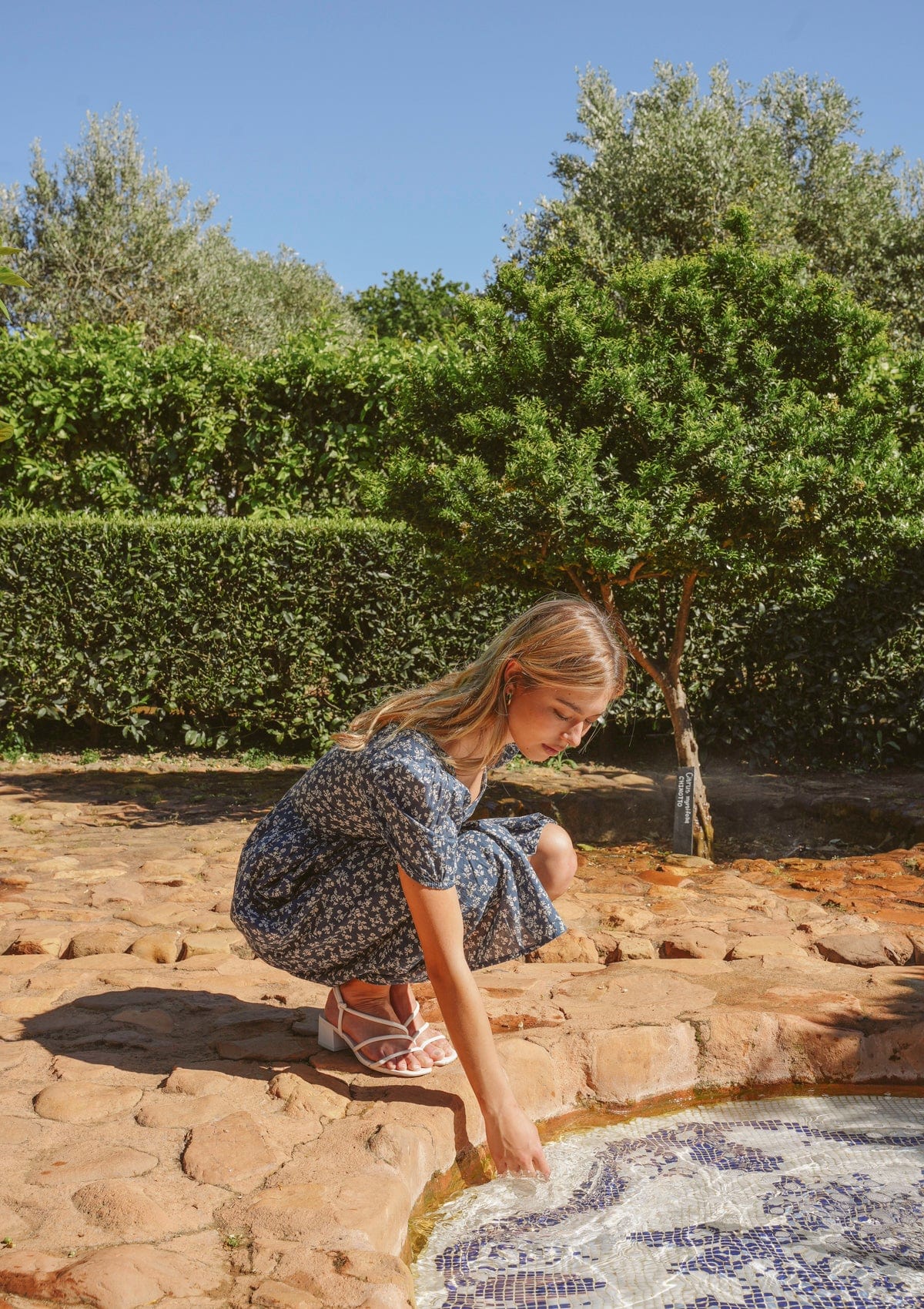 Ada Day Dress | Wildflower