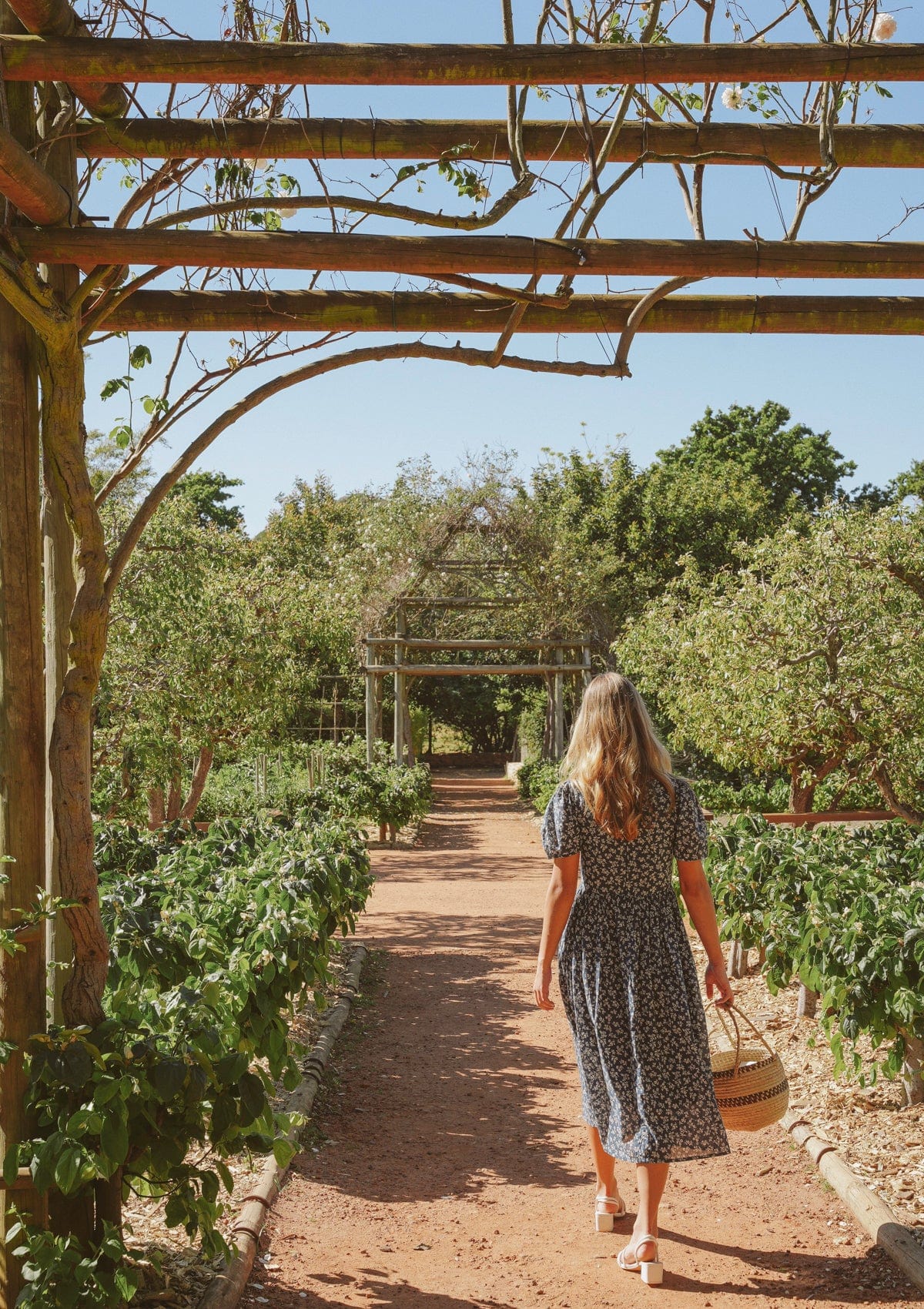 Ada Day Dress | Wildflower