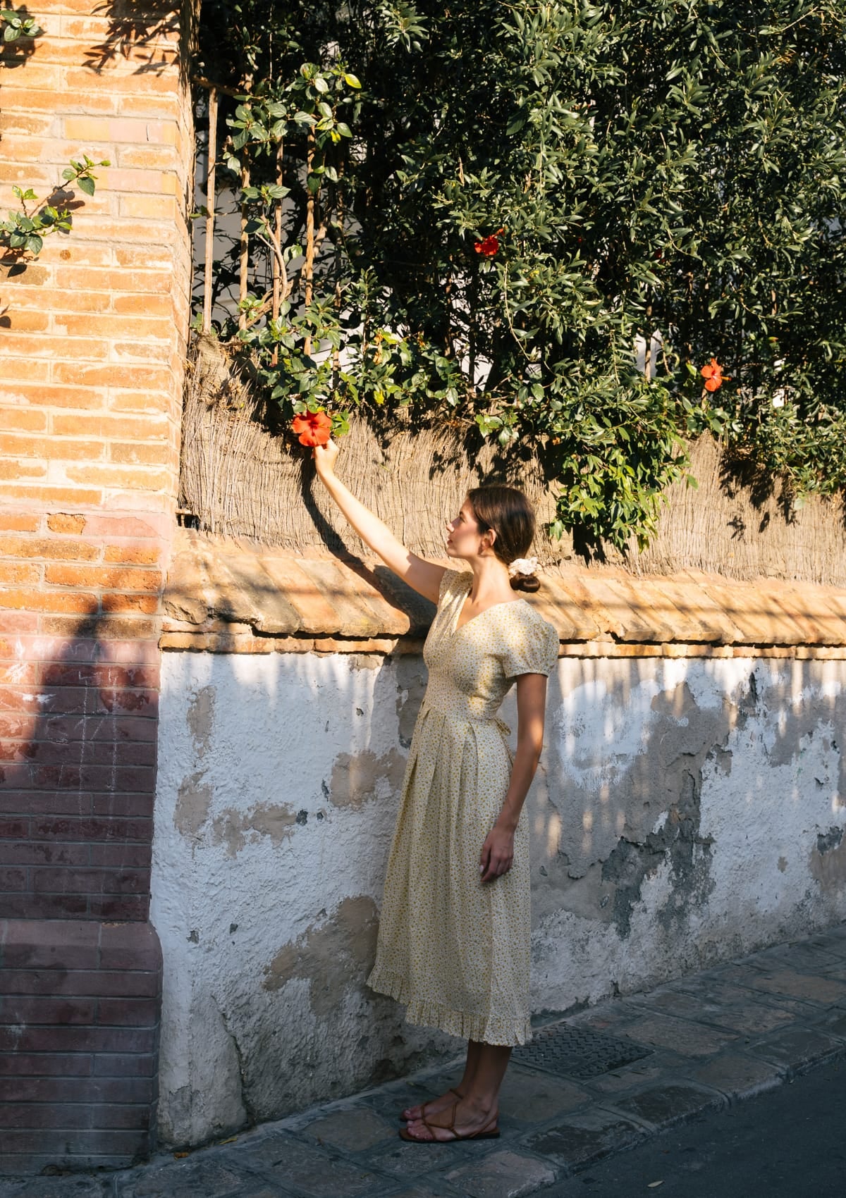 Alice Day Dress | Tansy Lane