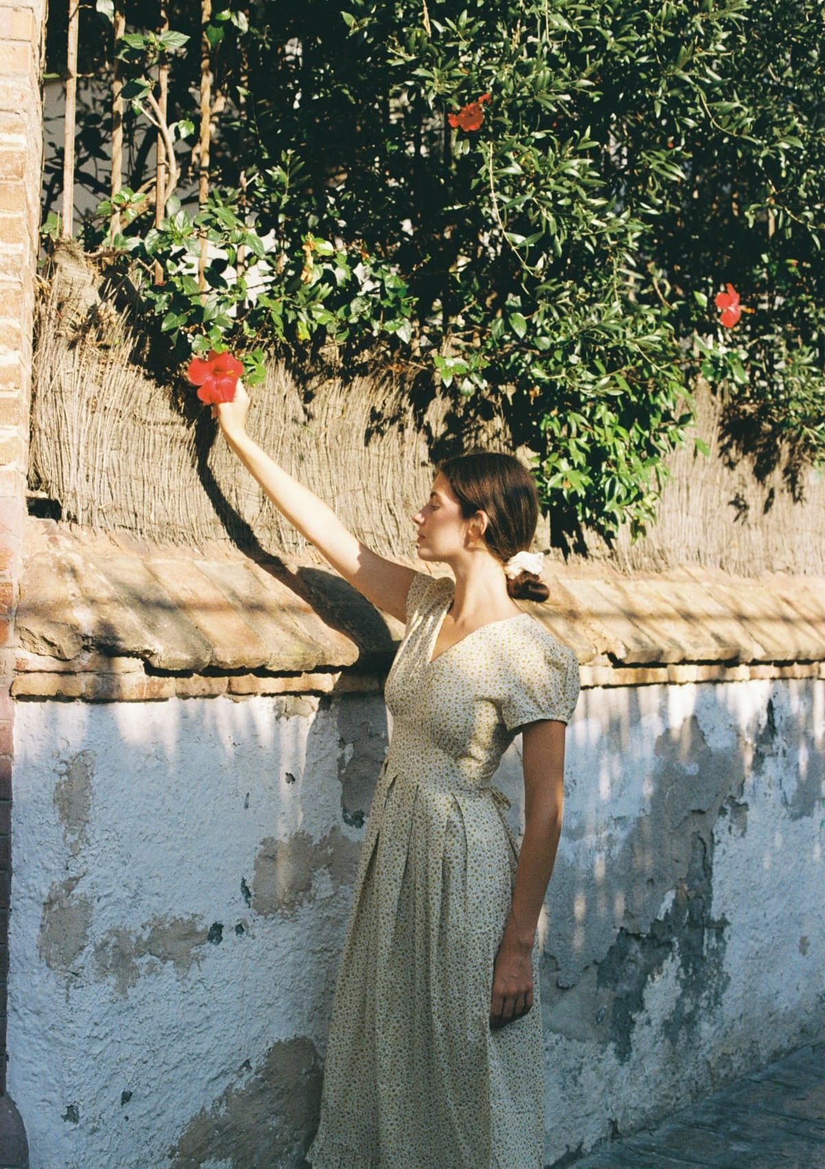Alice Day Dress | Tansy Lane