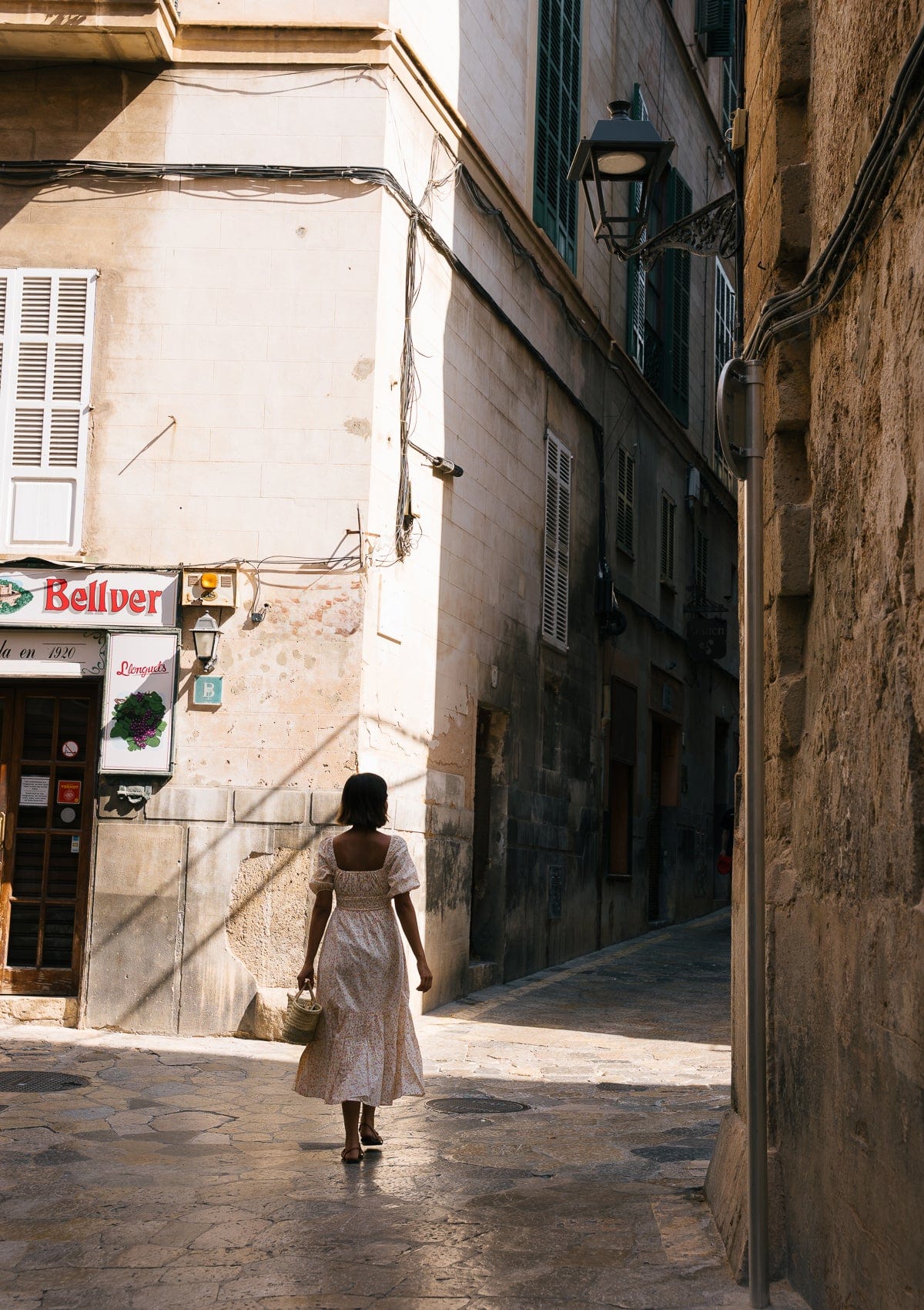Francine Day Dress | Painted Spring