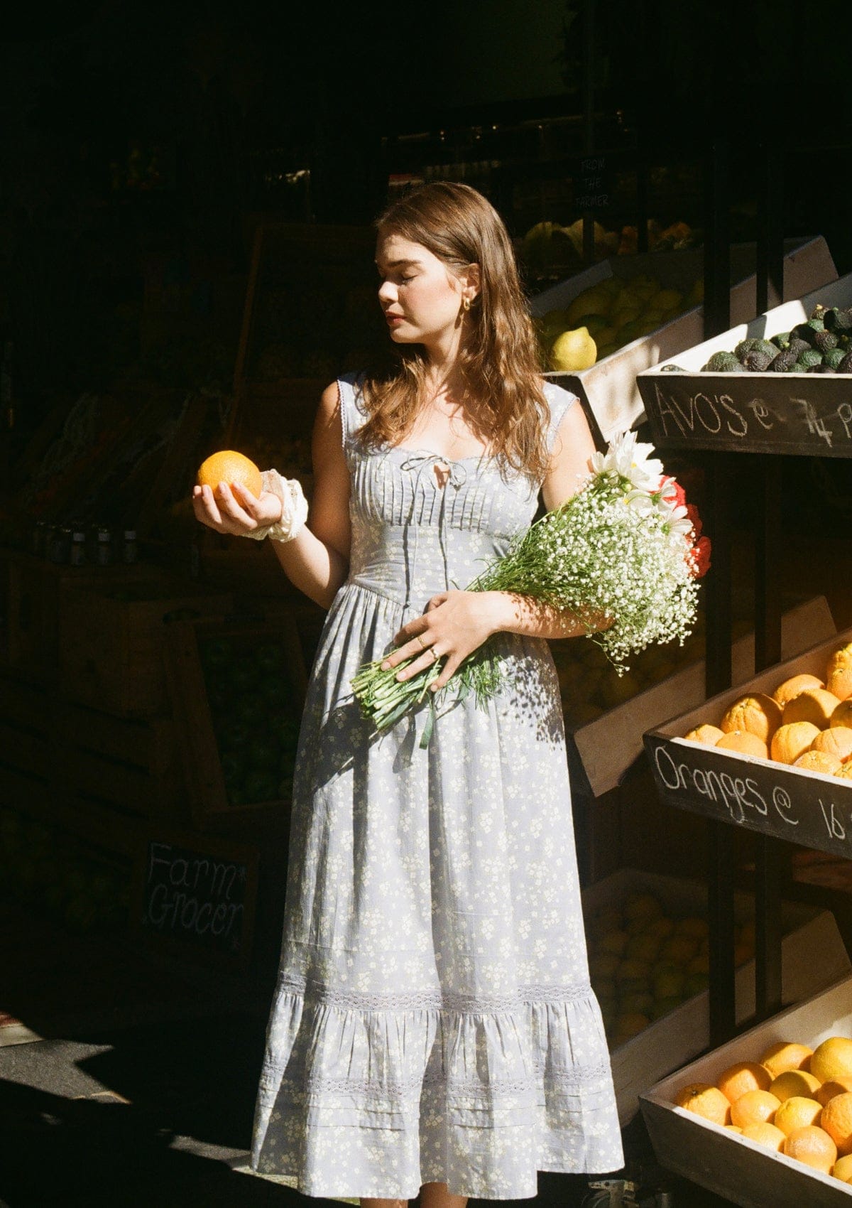 Lucie Day Dress | Elinor Garden Bleu