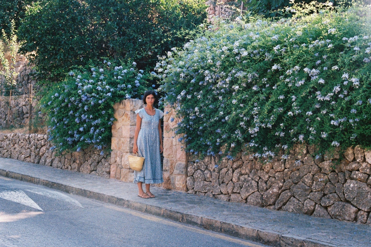Photo Diary -- August '26