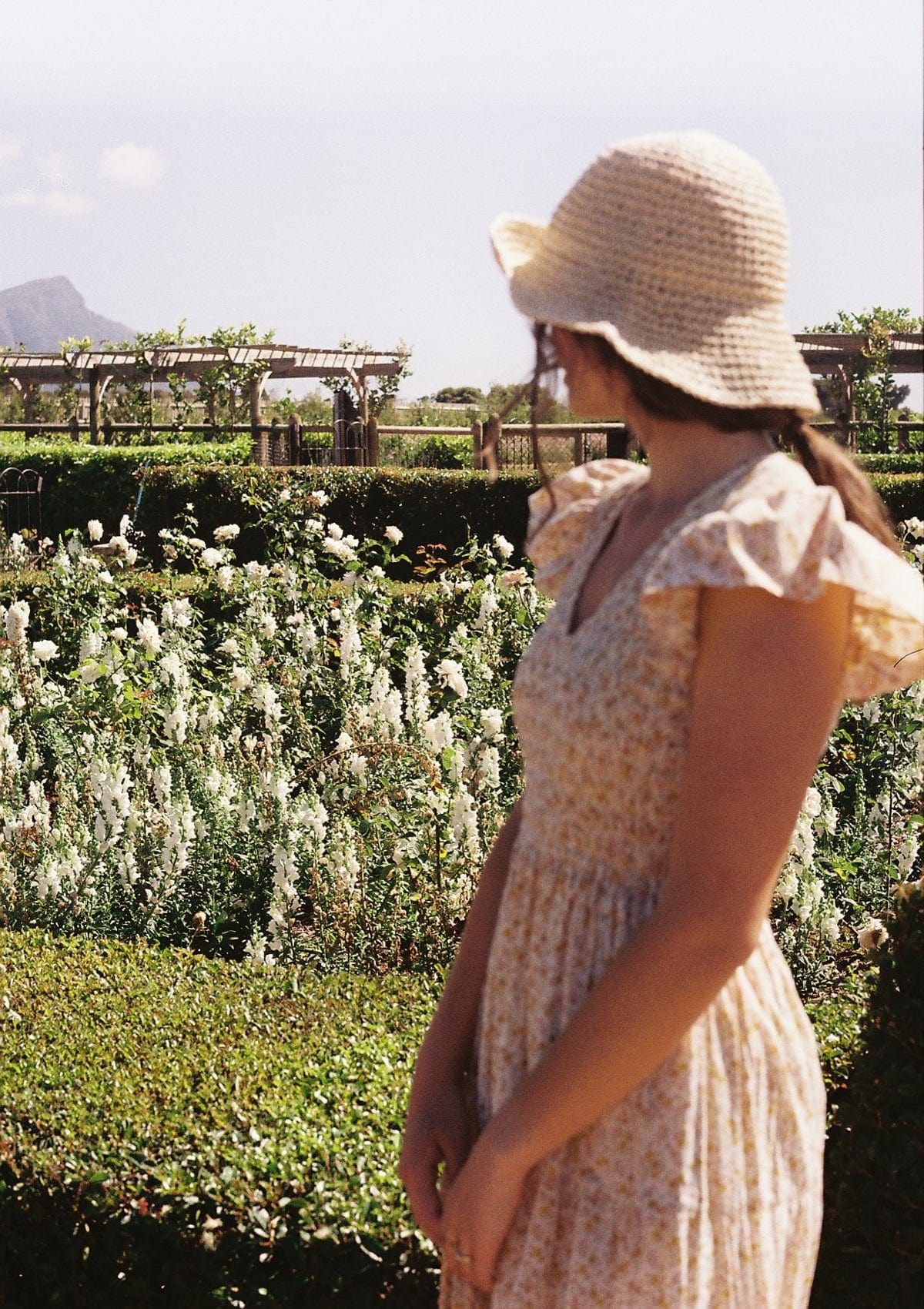 Emilia Day Dress | Mayflower