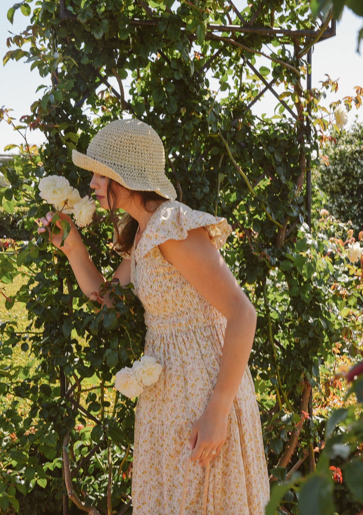 Emilia Day Dress | Mayflower