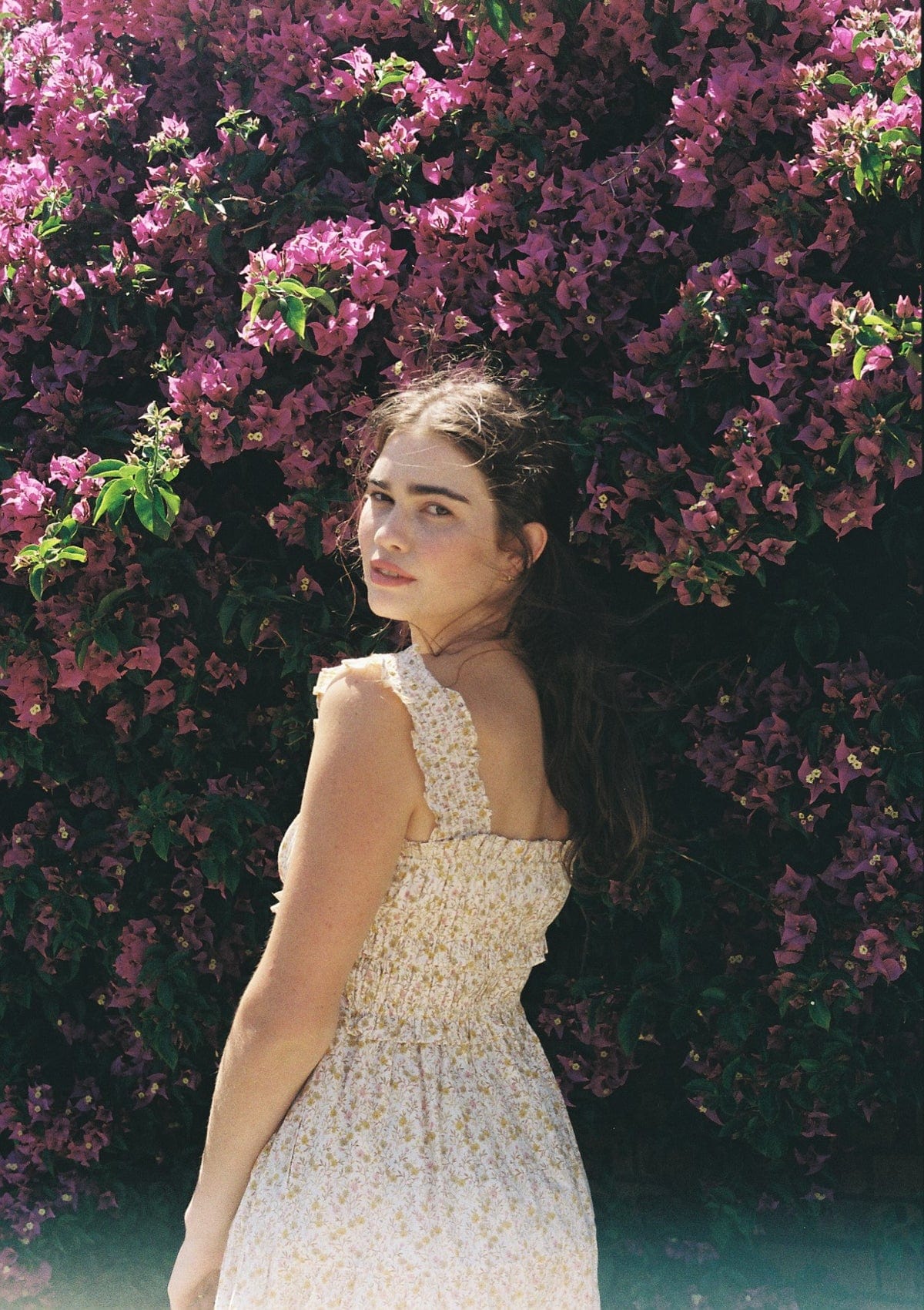 Darcy Day Dress | Mayflower