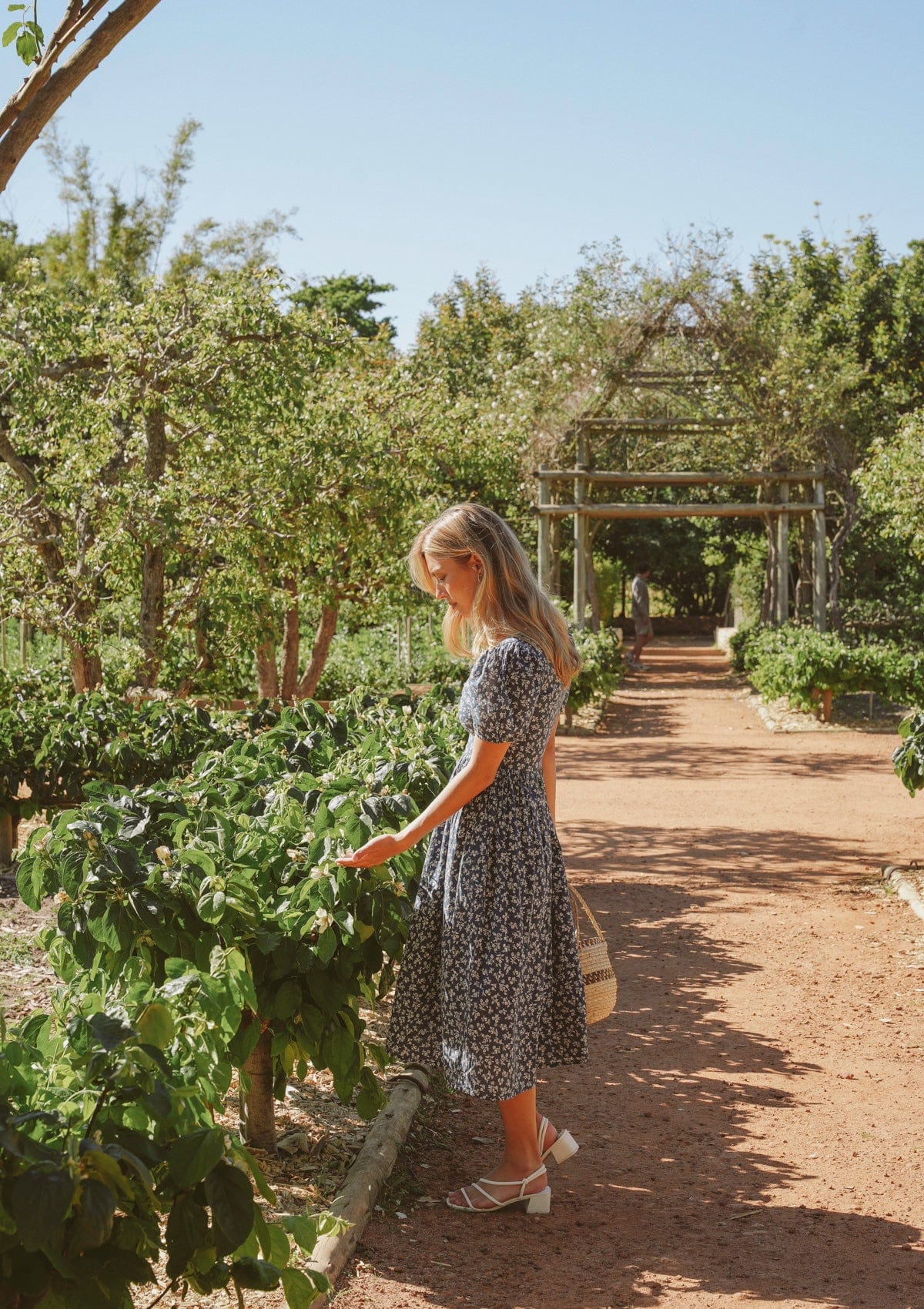 Ada Day Dress | Wildflower