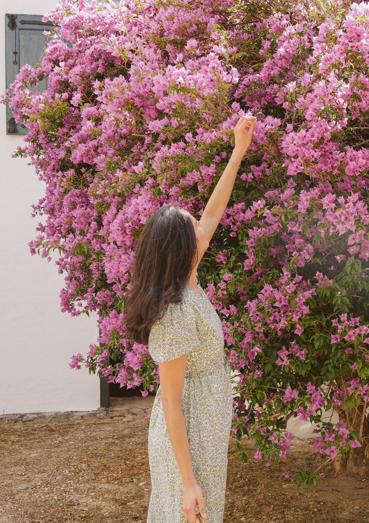 Blake Day Dress | Vintage Posy Bleu