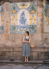 Darcy Day Dress | Edelweiss Bleu