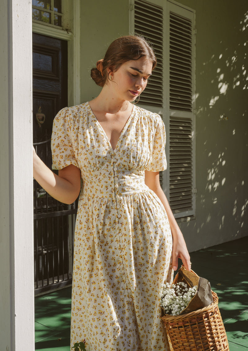 Delphine Day Dress | Junebug