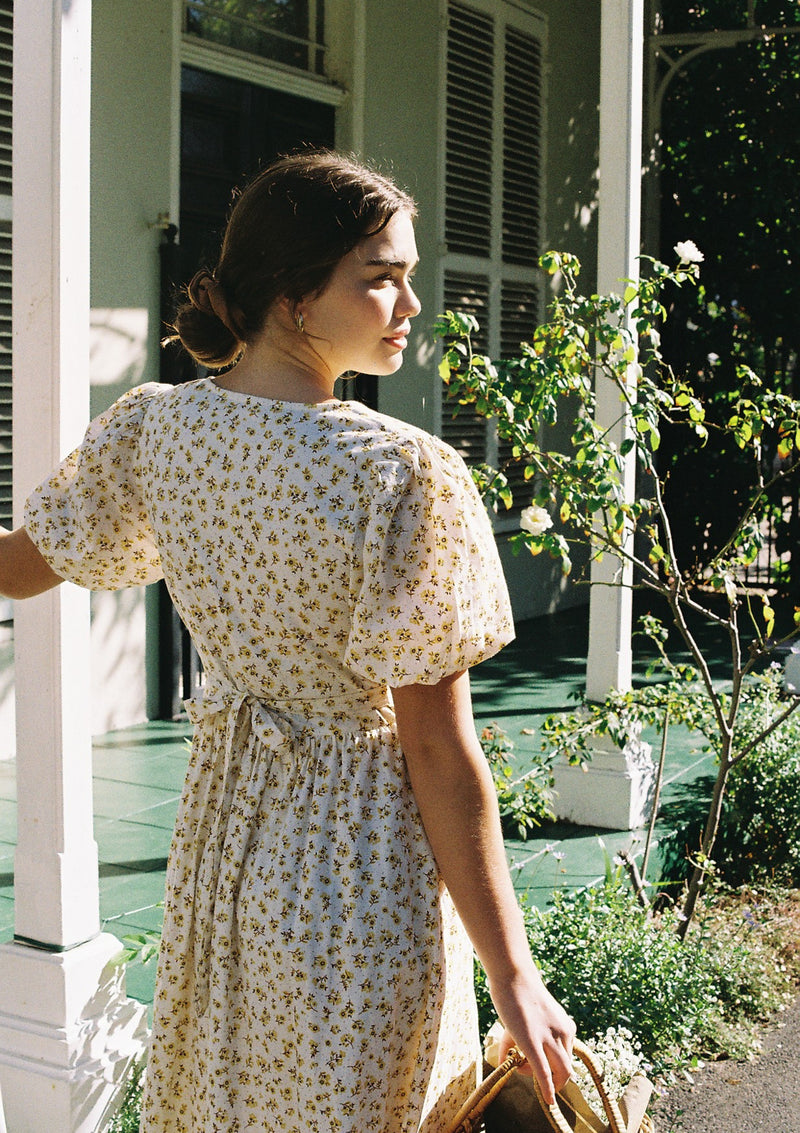 Delphine Day Dress | Junebug