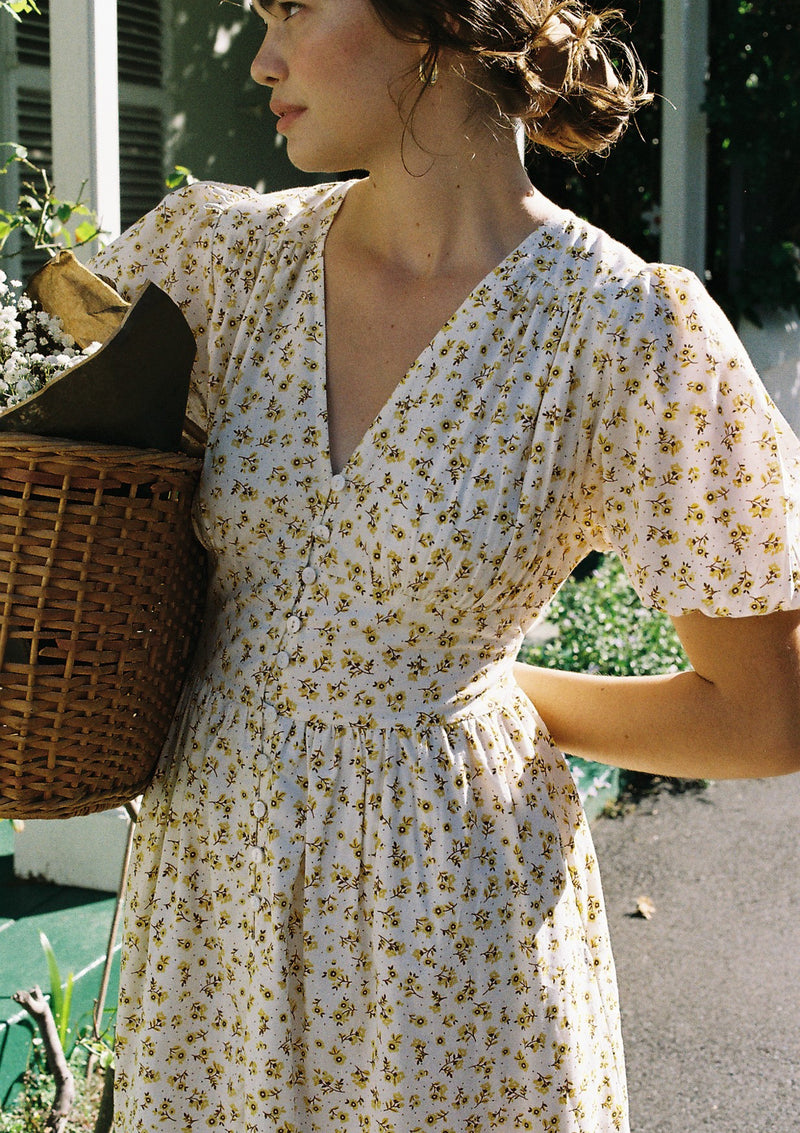Delphine Day Dress | Junebug