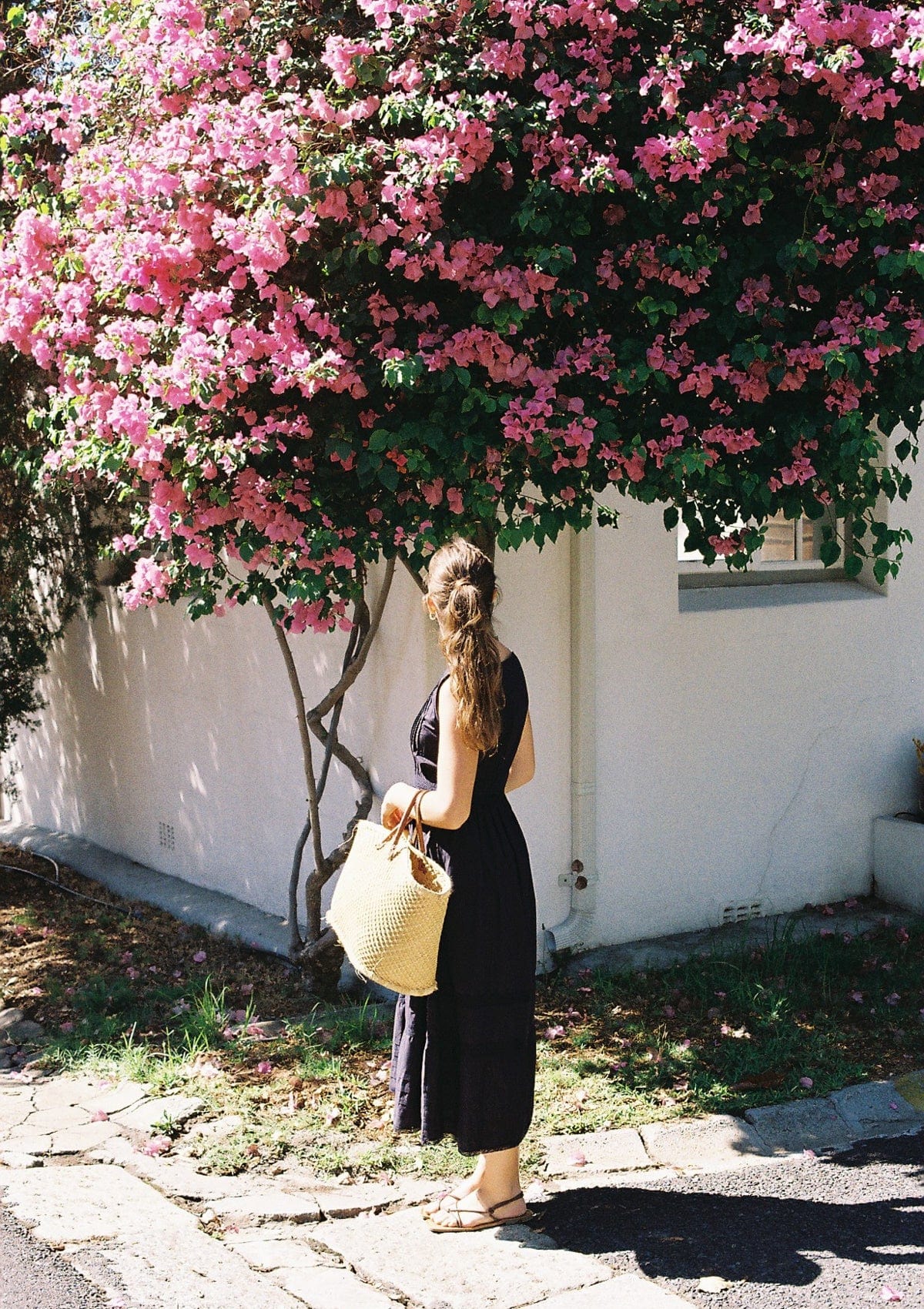 Elsie Day Dress | Navy