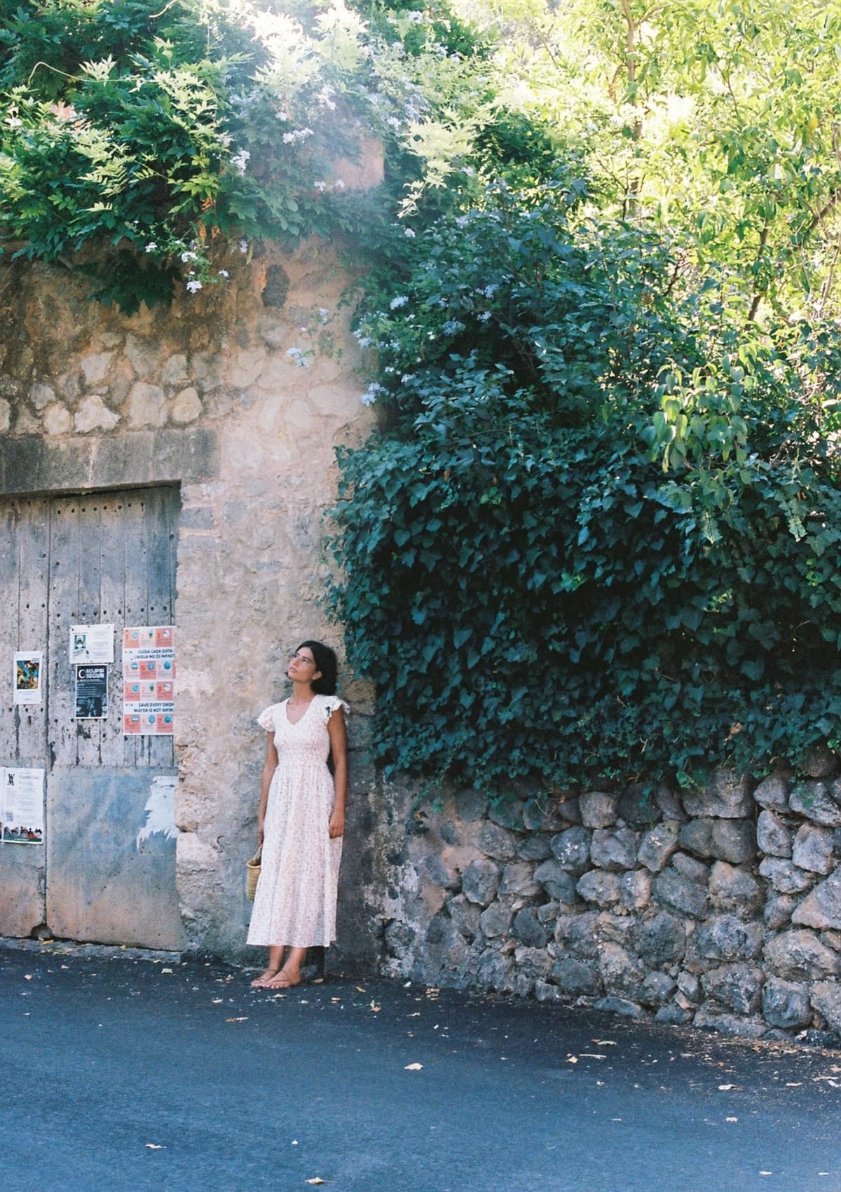 Emilia Day Dress | Sweetbriar