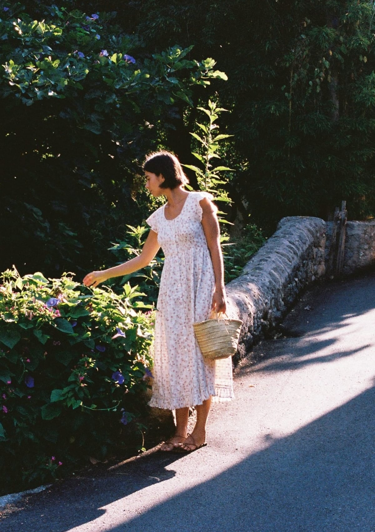 Patty Day Dress | Sweetbriar