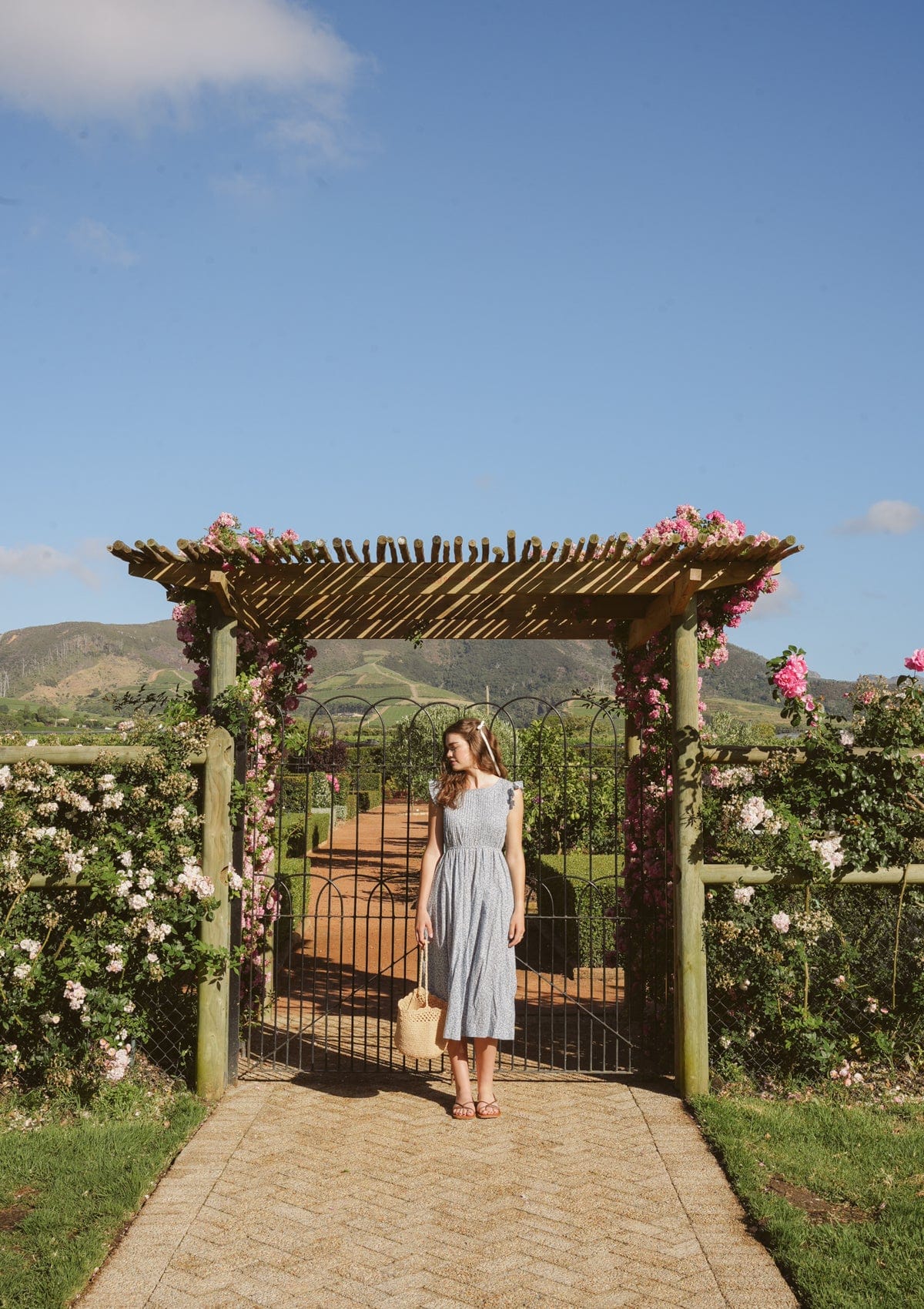 Painter Day Dress | Bleu Iris