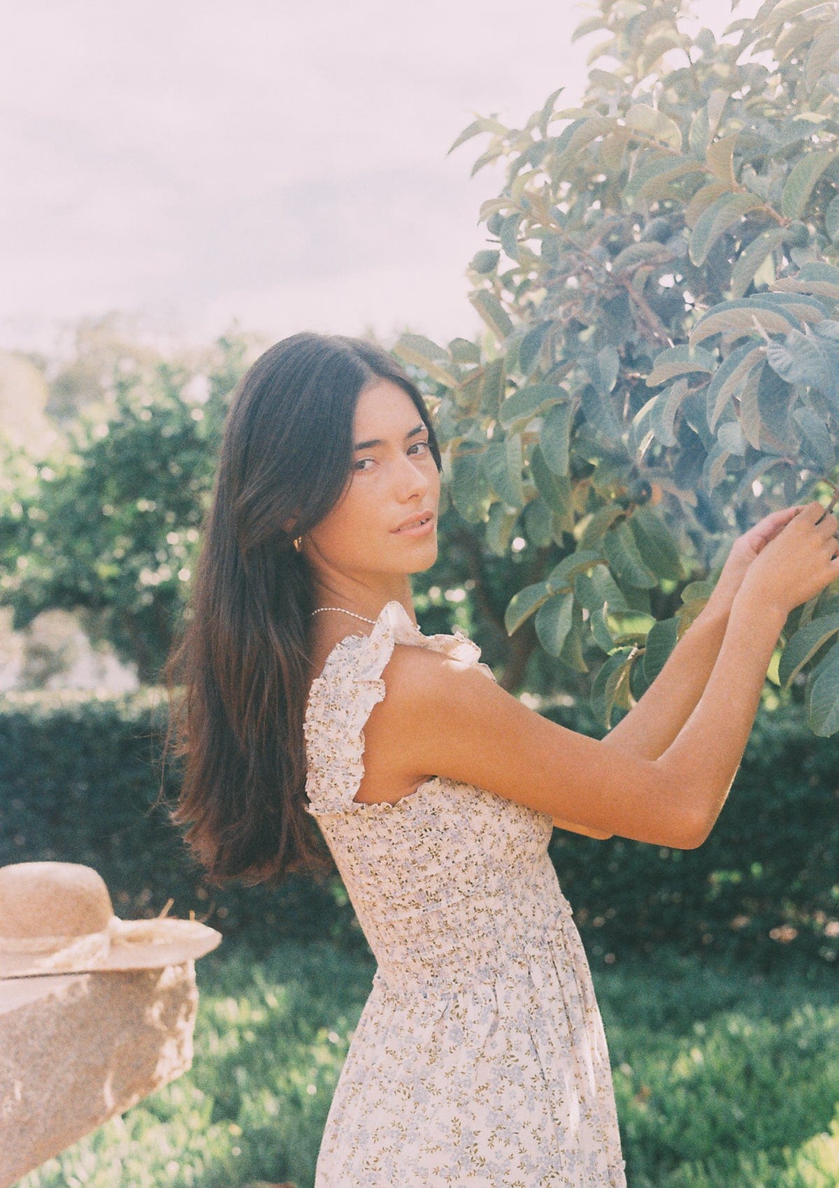 Sienna Day Dress | Primrose