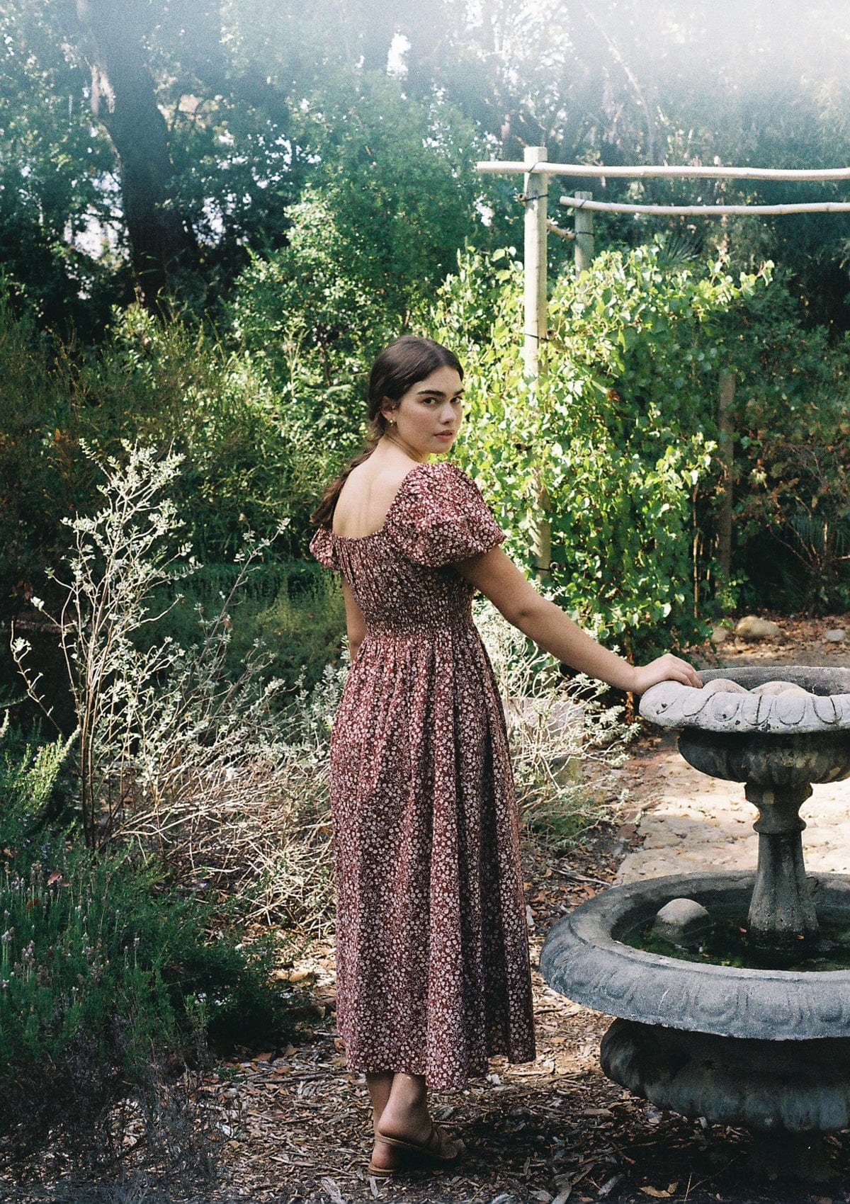 Sophie Day Dress | Camellia Garden – SUSY + BAE