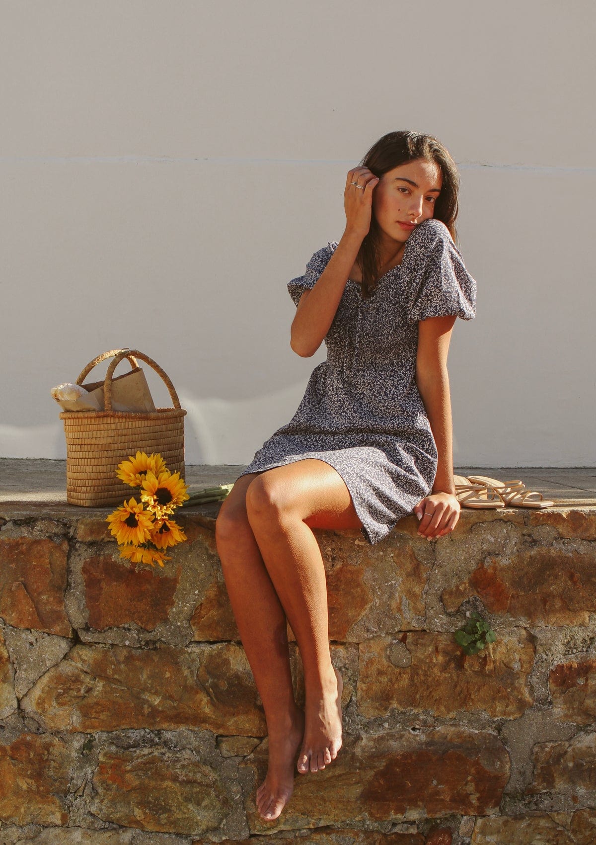 Emelie Day Dress | Midnight Meadow